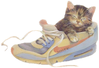 kitty